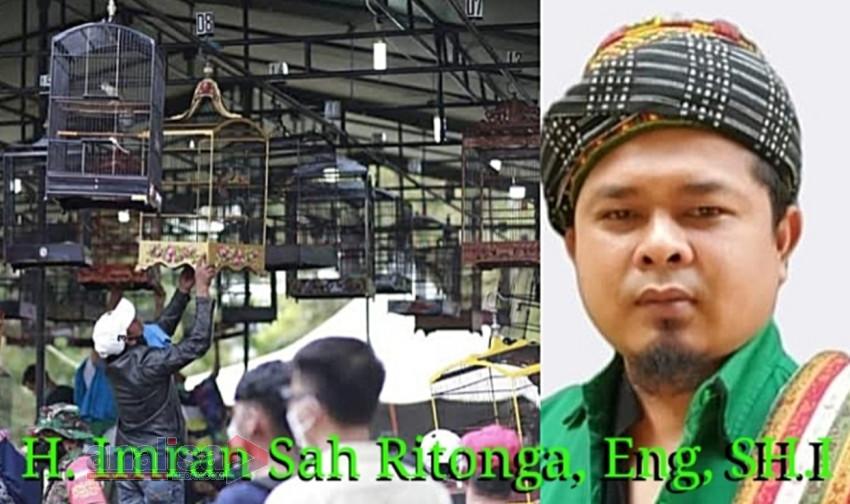 Minggu Depan, Festival Burung Berkicau di Gelar di Kota Padangsidimpuan