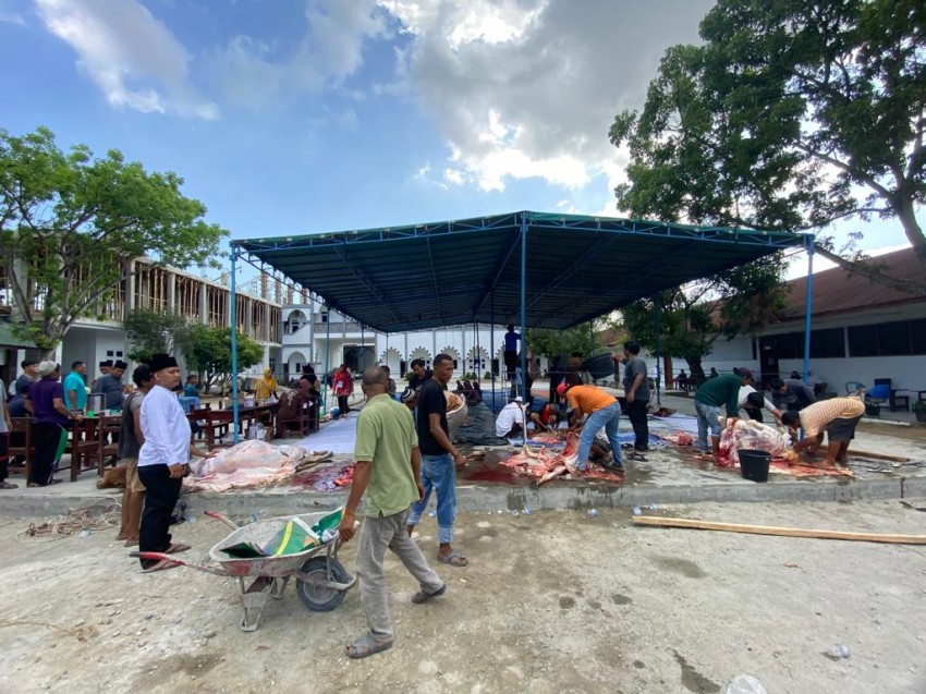 PWNU Sumut Bekerjasama Dengan UNUSU Sembelih 19 Hewan Kurban