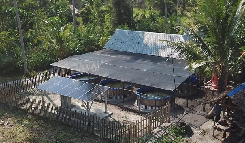 INALUM Dorong Penggunaan Energi Mandiri Pembangkit Listrik Tenaga Surya untuk Perikanan Darat