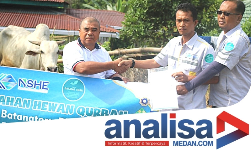 NSHE Sumbang Sapi Kurban Jenis Brahman di 5 Kecamatan, Tapsel