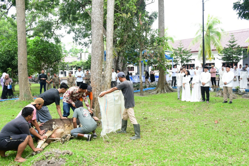 Pemkab Deliserdang Sembelih 42 Hewan Kurban