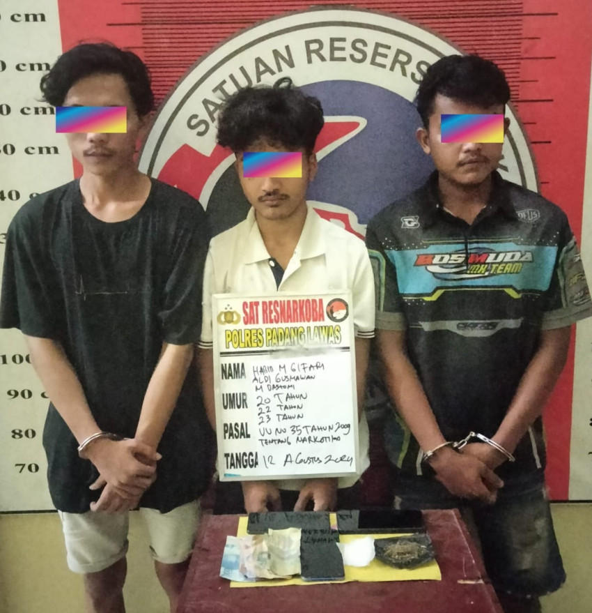 3 Pengedar Ganja Digulung  Satres Narkoba Polres Palas