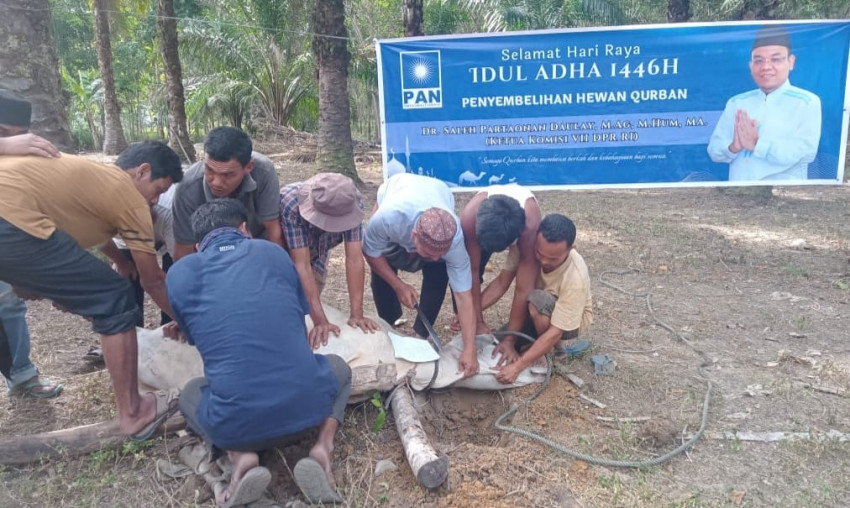 Saleh Partaonan Daulay Salurkan Bantuan Hewan Kurban Kemasyarakat di Dapil 2 Sumut