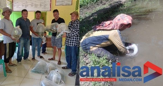 Tingkatkan Ekonomi Masyarakat, Lurah Panyanggar Tebar Ribuan Bibit Ikan dan Benih Padi Jelang HUT Pemko Padangsidimpuan