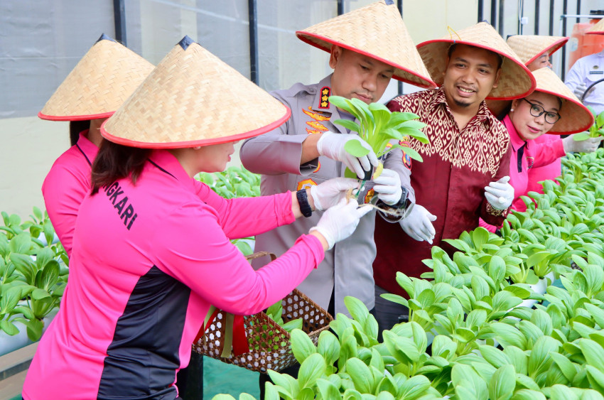 Polrestabes Medan Kembangkan Melon Hidroponik, Dukung Ketahanan Pangan Perkotaan