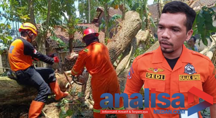 Waspada Hujan Lebat dan Pohon Tumbang. Ini Nomor (WA) BPBD Padangsidimpuan